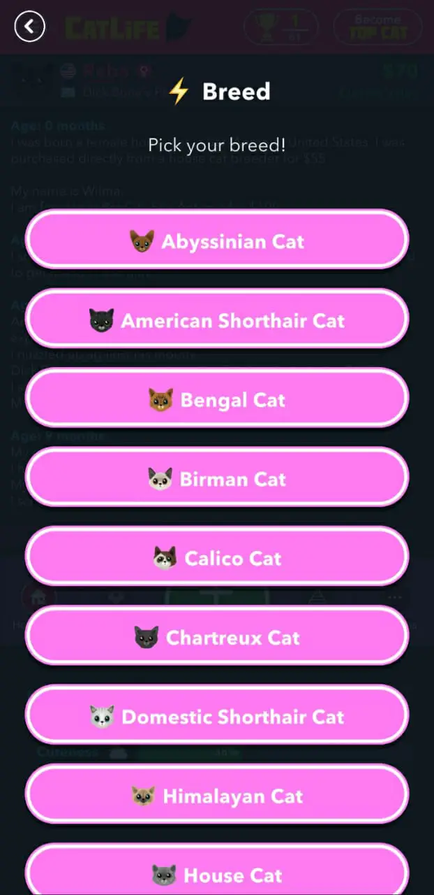 CatLife Bitlife Cat Game Walkthrough Beginner's Guide, Tips and
