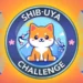 Shib-Uya-Challenge Challenge
